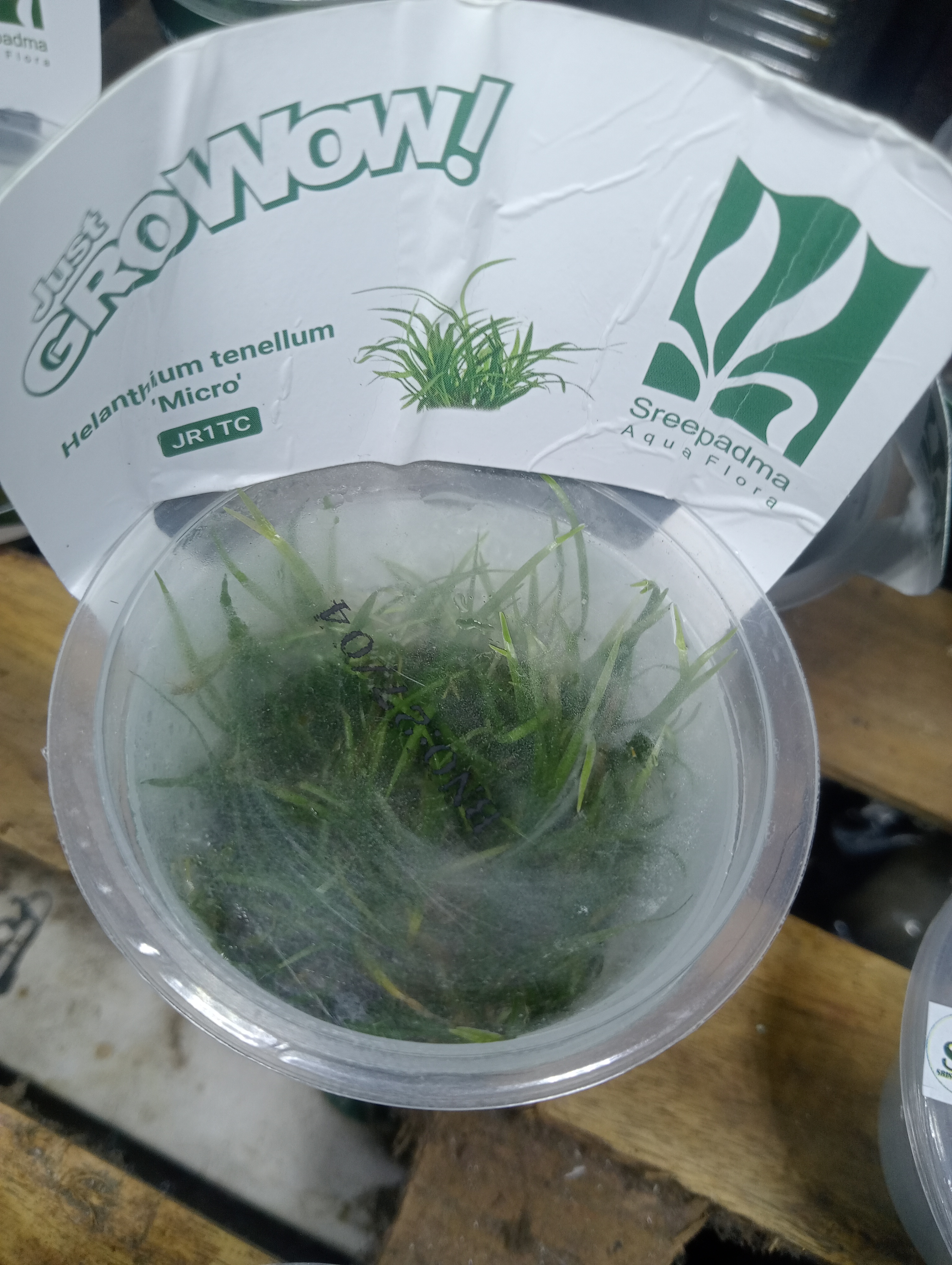 Buy Helanthium micro Online in Bangalore